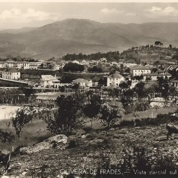 Vista-parcial-Sul-1024x655-1